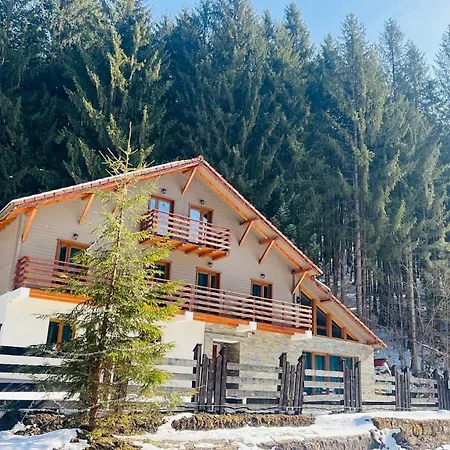 Chalet Chiba Timisu de Jos